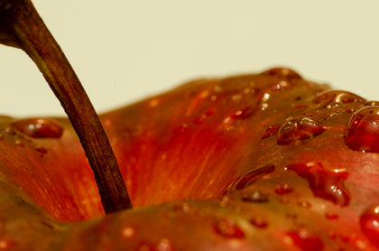 Organic Apple