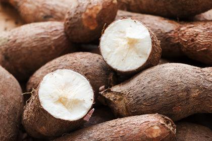 Organic tapioca starch